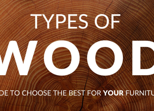 Types of Wood: Guide to Choose the Best for Your Furniture