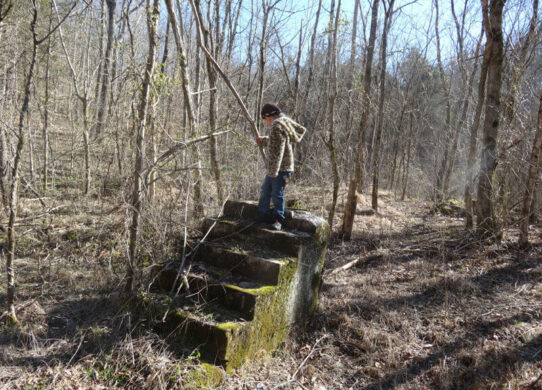 10+ random stairs in the forests taken from Reddit