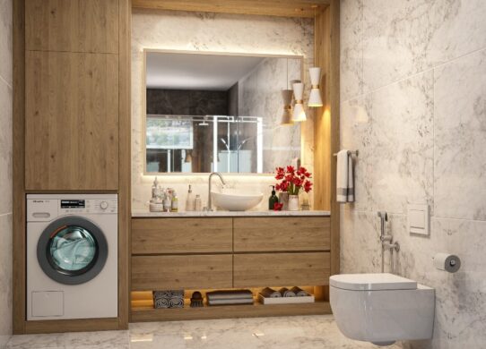 Modern design ideas of toilet and laundry