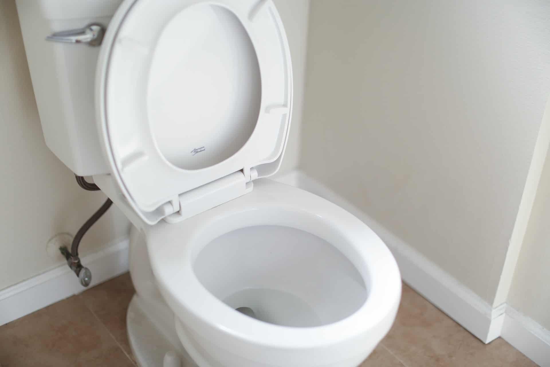 Is It Possible to Find a Universal Toilet Seat?